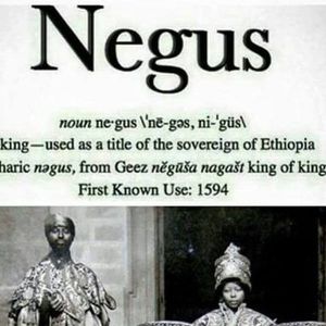 Meet your Posher, Oliver